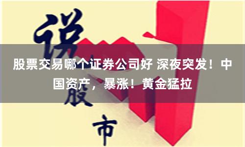 股票交易哪个证券公司好 深夜突发！中国资产，暴涨！黄金猛拉