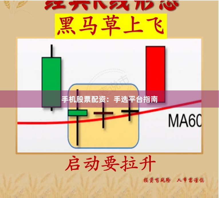 手机股票配资：手选平台指南