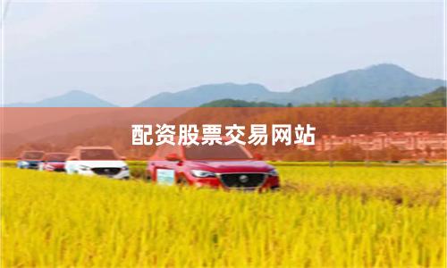 配资股票交易网站